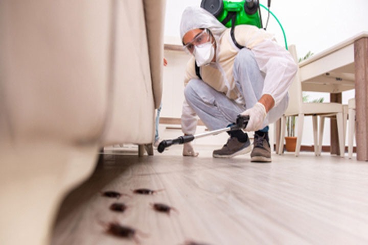 Fly Management Services