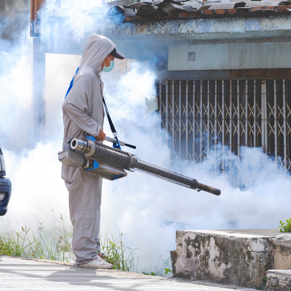 Mosquito Pest Control services