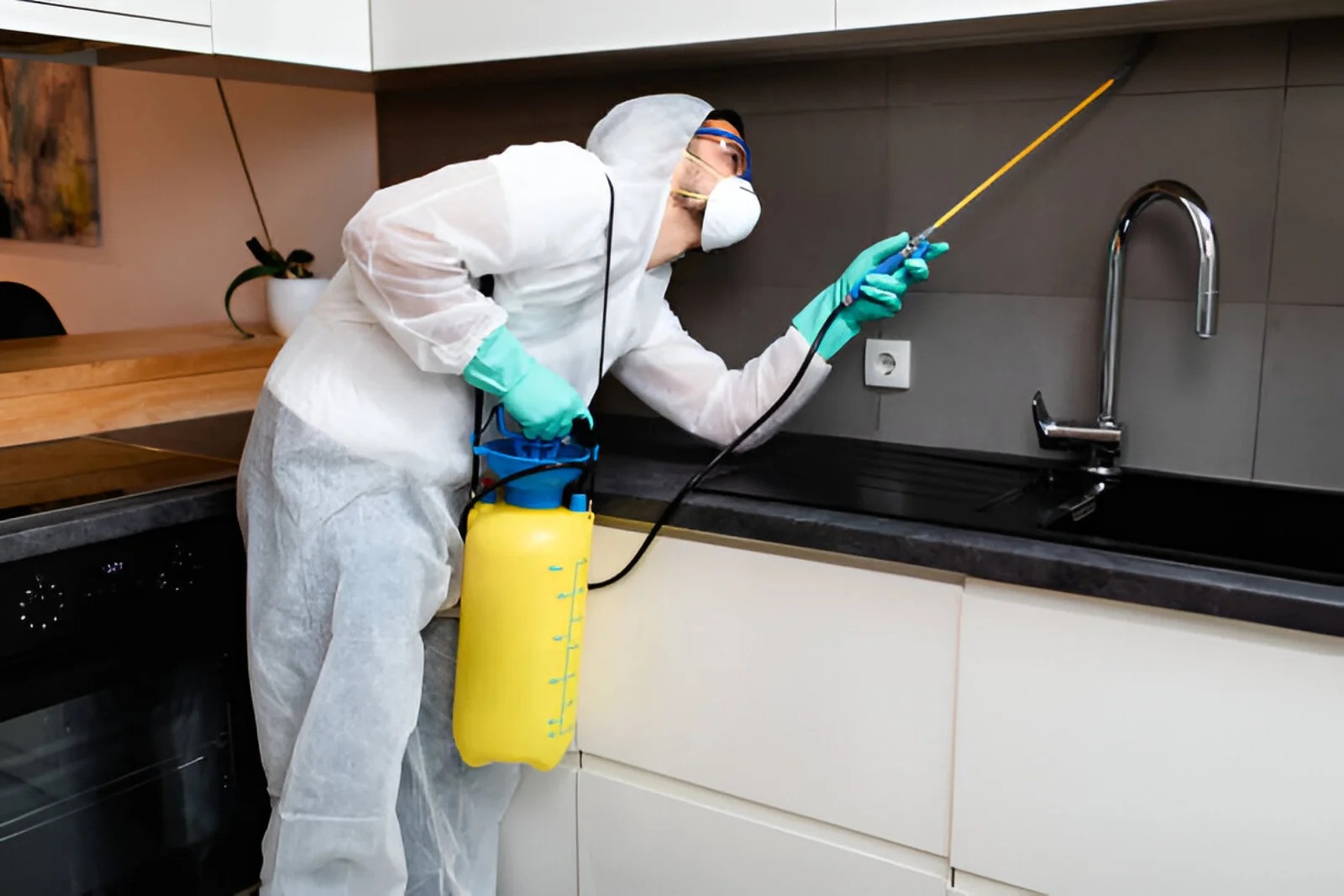 Best Termite Treatment Services